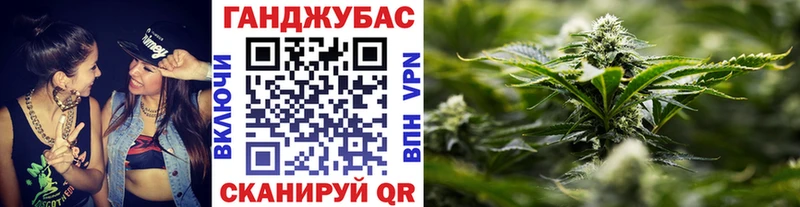 Что такое Лагань Альфа ПВП