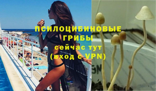 сатива Алексин